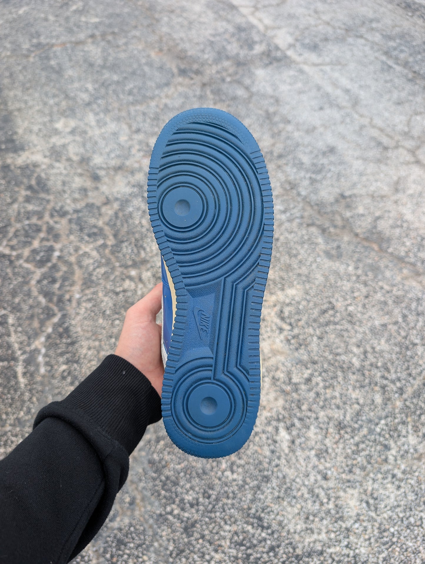 Nike Air Force 1 "Sheed: Bluejay" (2006)